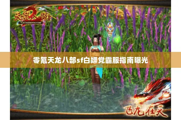 零氪天龙八部sf白嫖党霸服指南曝光 零氪天龙八部sf白嫖党霸服指南曝光