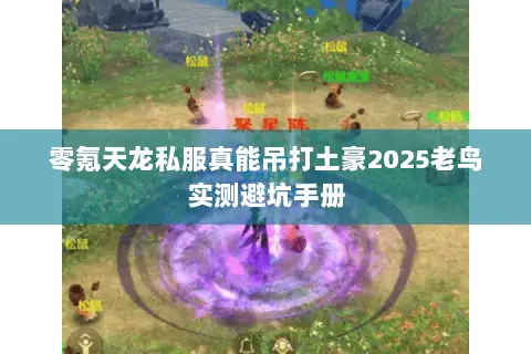 零氪天龙私服真能吊打土豪2025老鸟实测避坑手册 零氪天龙私服真能吊打土豪2025老鸟实测避坑手册