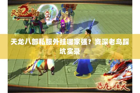 天龙八部私服外挂哪家强？资深老鸟踩坑实录