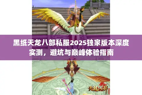 黑纸天龙八部私服2025独家版本深度实测,避坑与巅峰体验指南 黑纸天龙八部私服2025独家版本深度实测,避坑与巅峰体验指南