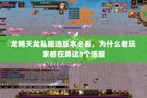 龙腾天龙私服选版本必看，为什么老玩家都在蹲这3个活服
