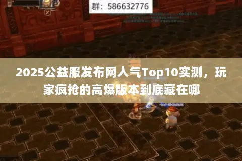 2025公益服发布网人气Top10实测，玩家疯抢的高爆版本到底藏在哪