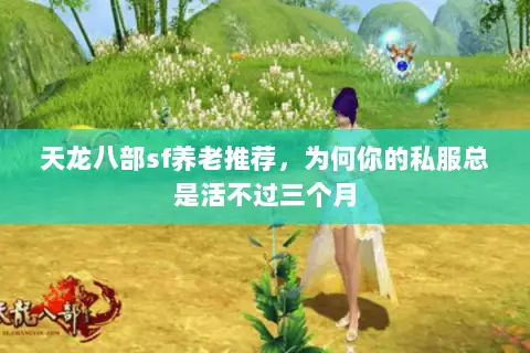 天龙八部sf养老推荐,为何你的私服总是活不过三个月 天龙八部sf养老推荐,为何你的私服总是活不过三个月