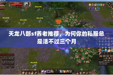 天龙八部sf养老推荐,为何你的私服总是活不过三个月 天龙八部sf养老推荐,为何你的私服总是活不过三个月