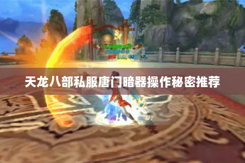 天龙八部私服唐门暗器操作秘密推荐 天龙八部私服唐门暗器操作秘密推荐