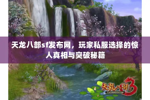 天龙八部sf发布网,玩家私服选择的惊人真相与突破秘籍 天龙八部sf发布网,玩家私服选择的惊人真相与突破秘籍