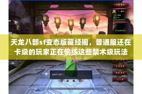 天龙八部sf变态版藏经阁，普通服还在卡级的玩家正在偷练这些禁术级玩法