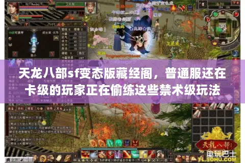 天龙八部sf变态版藏经阁，普通服还在卡级的玩家正在偷练这些禁术级玩法