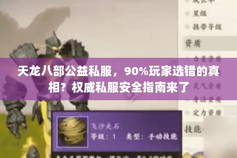 天龙八部公益私服，90%玩家选错的真相？权威私服安全指南来了