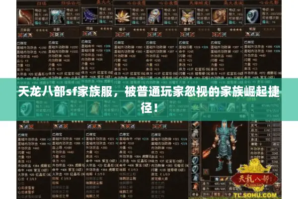 天龙八部sf家族服,被普通玩家忽视的家族崛起捷径! 天龙八部sf家族服,被普通玩家忽视的家族崛起捷径!