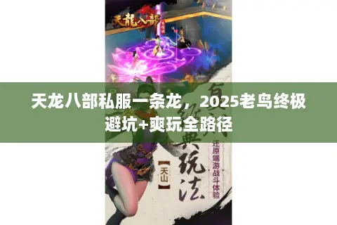 天龙八部私服一条龙,2025老鸟终极避坑+爽玩全路径 天龙八部私服一条龙,2025老鸟终极避坑+爽玩全路径