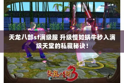 天龙八部sf满级服 升级慢如蜗牛秒入满级天堂的私藏秘诀! 天龙八部sf满级服 升级慢如蜗牛秒入满级天堂的私藏秘诀!