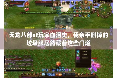 天龙八部sf玩家血泪史,我亲手删掉的垃圾服居然藏着这些门道 天龙八部sf玩家血泪史,我亲手删掉的垃圾服居然藏着这些门道