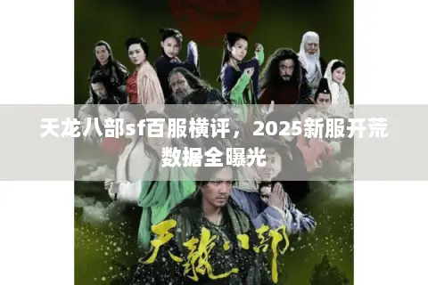 天龙八部sf百服横评，2025新服开荒数据全曝光
