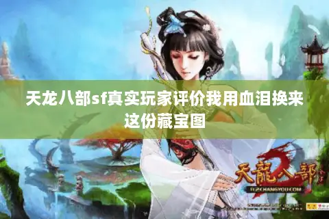 天龙八部sf真实玩家评价我用血泪换来这份藏宝图