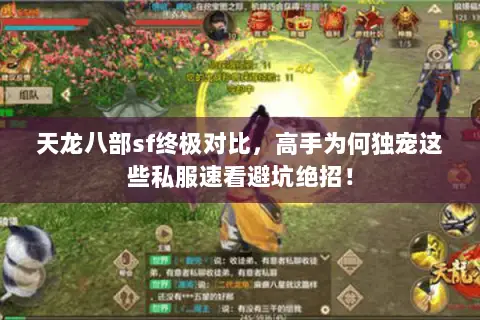 天龙八部sf终极对比,高手为何独宠这些私服速看避坑绝招! 天龙八部sf终极对比,高手为何独宠这些私服速看避坑绝招!