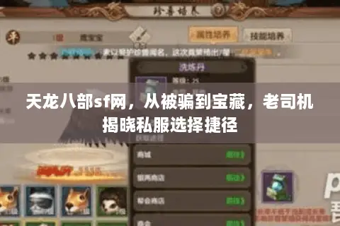 天龙八部sf网,从被骗到宝藏,老司机揭晓私服选择捷径 天龙八部sf网,从被骗到宝藏,老司机揭晓私服选择捷径