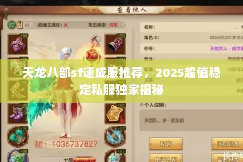 天龙八部sf速成服推荐，2025超值稳定私服独家揭秘