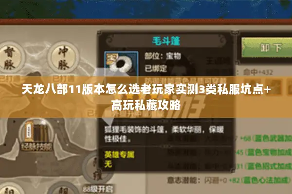 天龙八部11版本怎么选老玩家实测3类私服坑点+高玩私藏攻略