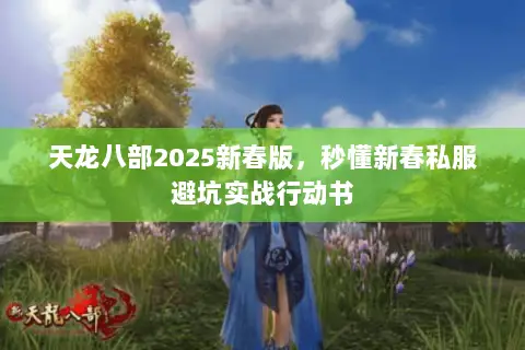 天龙八部2025新春版,秒懂新春私服避坑实战行动书 天龙八部2025新春版,秒懂新春私服避坑实战行动书