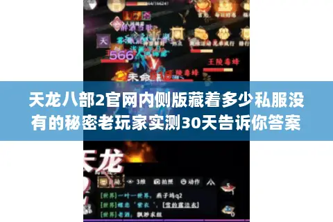 天龙八部2官网内侧版藏着多少私服没有的秘密老玩家实测30天告诉你答案
