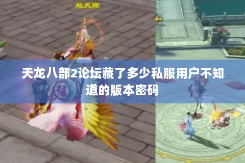 天龙八部2论坛藏了多少私服用户不知道的版本密码