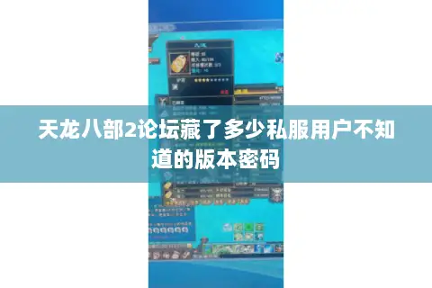 天龙八部2论坛藏了多少私服用户不知道的版本密码