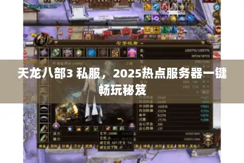天龙八部3 私服，2025热点服务器一键畅玩秘笈