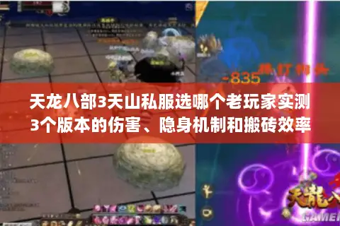 天龙八部3天山私服选哪个老玩家实测3个版本的伤害、隐身机制和搬砖效率 天龙八部3天山私服选哪个老玩家实测3个版本的伤害、隐身机制和搬砖效率