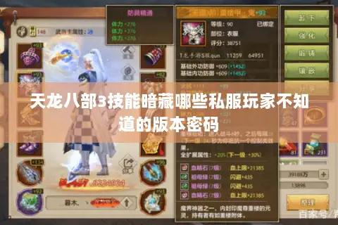 天龙八部3技能暗藏哪些私服玩家不知道的版本密码 天龙八部3技能暗藏哪些私服玩家不知道的版本密码