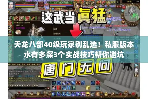 天龙八部40级玩家别乱选!私服版本水有多深3个实战技巧帮你避坑 天龙八部40级玩家别乱选!私服版本水有多深3个实战技巧帮你避坑
