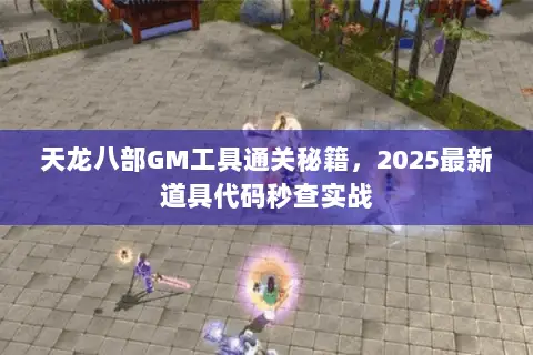 天龙八部GM工具通关秘籍,2025最新道具代码秒查实战 天龙八部GM工具通关秘籍,2025最新道具代码秒查实战