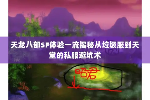 天龙八部SF体验一流揭秘从垃圾服到天堂的私服避坑术
