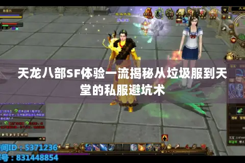 天龙八部SF体验一流揭秘从垃圾服到天堂的私服避坑术