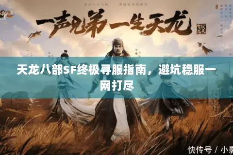 天龙八部SF终极寻服指南，避坑稳服一网打尽