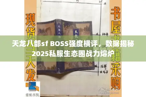 天龙八部sf BOSS强度横评,数据揭秘2025私服生态圈战力熔炉 天龙八部sf BOSS强度横评,数据揭秘2025私服生态圈战力熔炉
