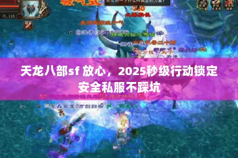 天龙八部sf 放心，2025秒级行动锁定安全私服不踩坑