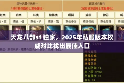 天龙八部sf 独家，2025年私服版本权威对比找出最佳入口