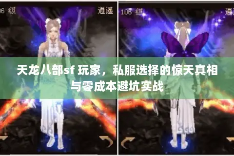 天龙八部sf 玩家,私服选择的惊天真相与零成本避坑实战 天龙八部sf 玩家,私服选择的惊天真相与零成本避坑实战