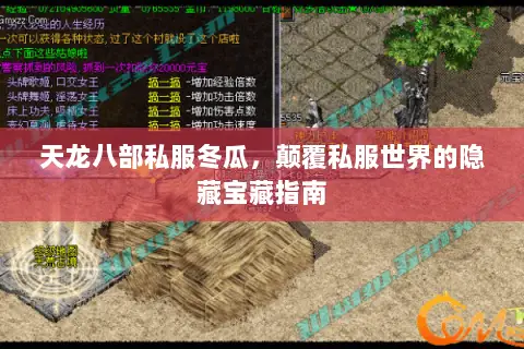 天龙八部私服冬瓜,颠覆私服世界的隐藏宝藏指南 天龙八部私服冬瓜,颠覆私服世界的隐藏宝藏指南