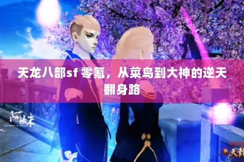 天龙八部sf 零氪,从菜鸟到大神的逆天翻身路 天龙八部sf 零氪,从菜鸟到大神的逆天翻身路
