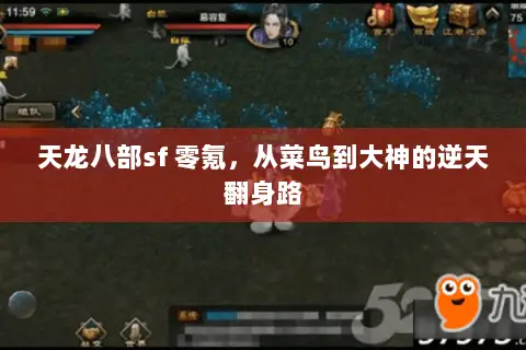 天龙八部sf 零氪,从菜鸟到大神的逆天翻身路 天龙八部sf 零氪,从菜鸟到大神的逆天翻身路