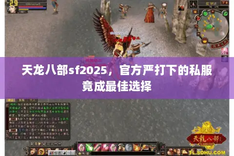 天龙八部sf2025,官方严打下的私服竟成最佳选择 天龙八部sf2025,官方严打下的私服竟成最佳选择