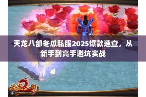天龙八部冬瓜私服2025爆款速查，从新手到高手避坑实战