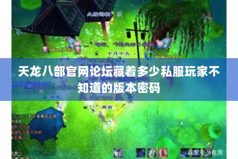 天龙八部官网论坛藏着多少私服玩家不知道的版本密码 天龙八部官网论坛藏着多少私服玩家不知道的版本密码