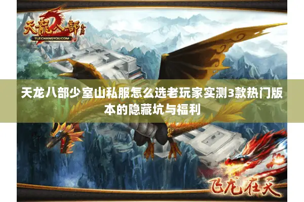 天龙八部少室山私服怎么选老玩家实测3款热门版本的隐藏坑与福利 天龙八部少室山私服怎么选老玩家实测3款热门版本的隐藏坑与福利