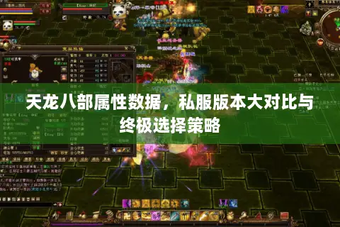 天龙八部属性数据,私服版本大对比与终极选择策略 天龙八部属性数据,私服版本大对比与终极选择策略