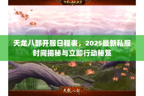 天龙八部开服日程表，2025最新私服时间揭秘与立即行动秘笈