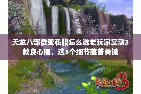 天龙八部微变私服怎么选老玩家实测3款良心服,这5个细节藏着关键 天龙八部微变私服怎么选老玩家实测3款良心服,这5个细节藏着关键