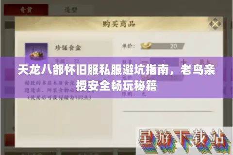 天龙八部怀旧服私服避坑指南，老鸟亲授安全畅玩秘籍